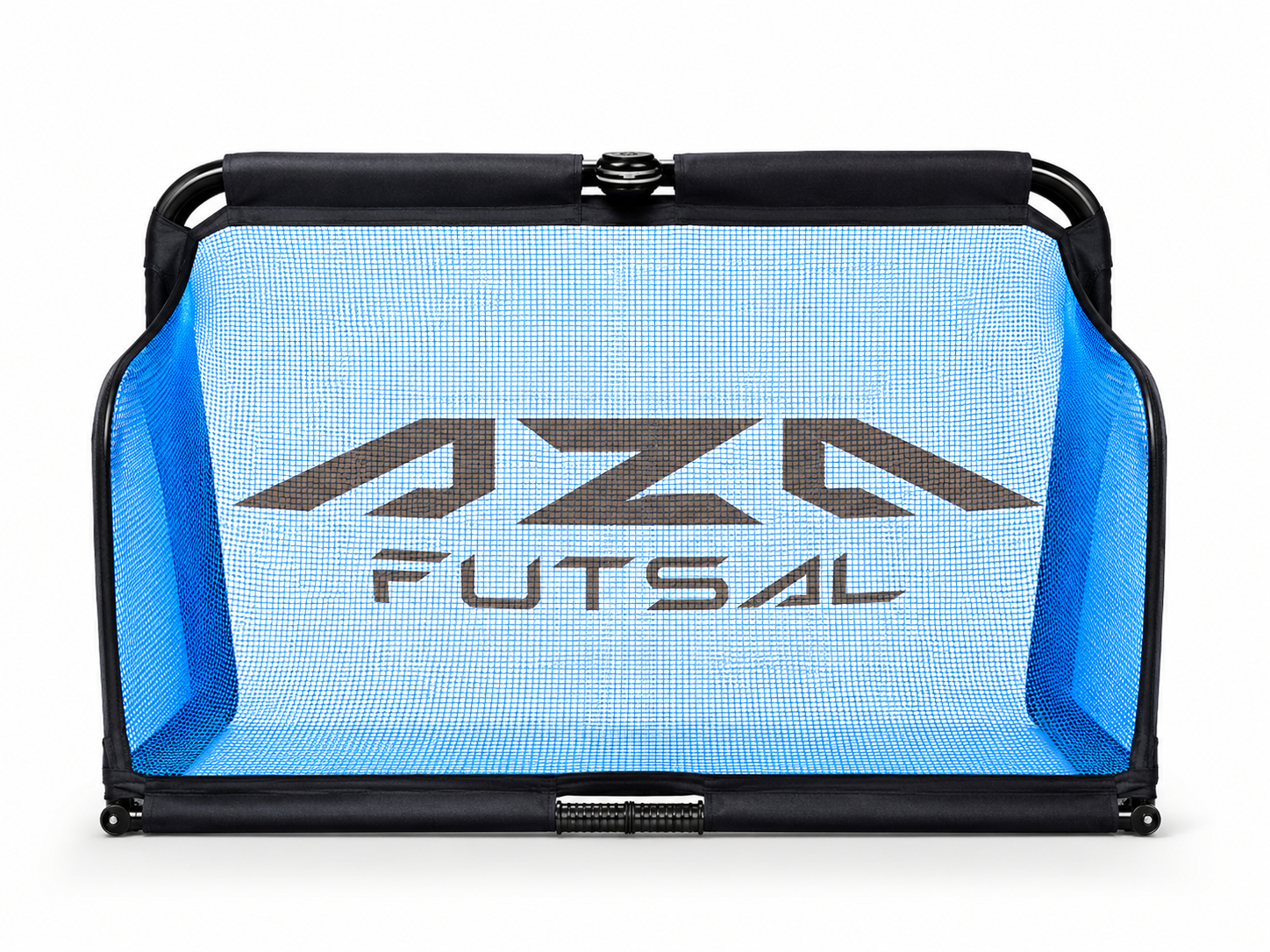 AZA small-sided training goal